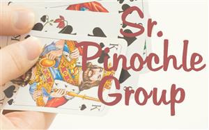 Senior Pinochle Group