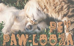 Pet Paw-Looza